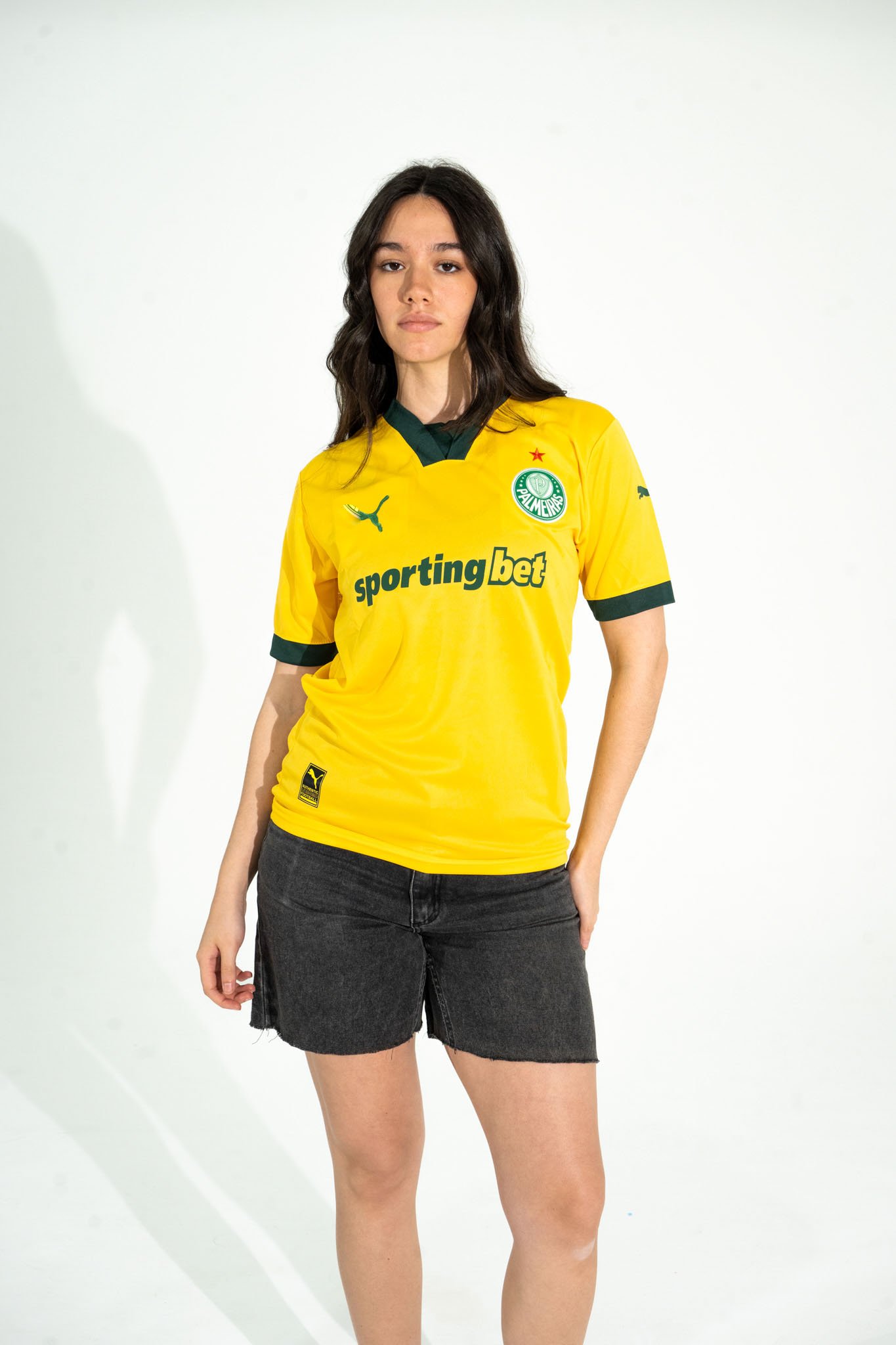 PALMEIRAS ALTERNATIVA