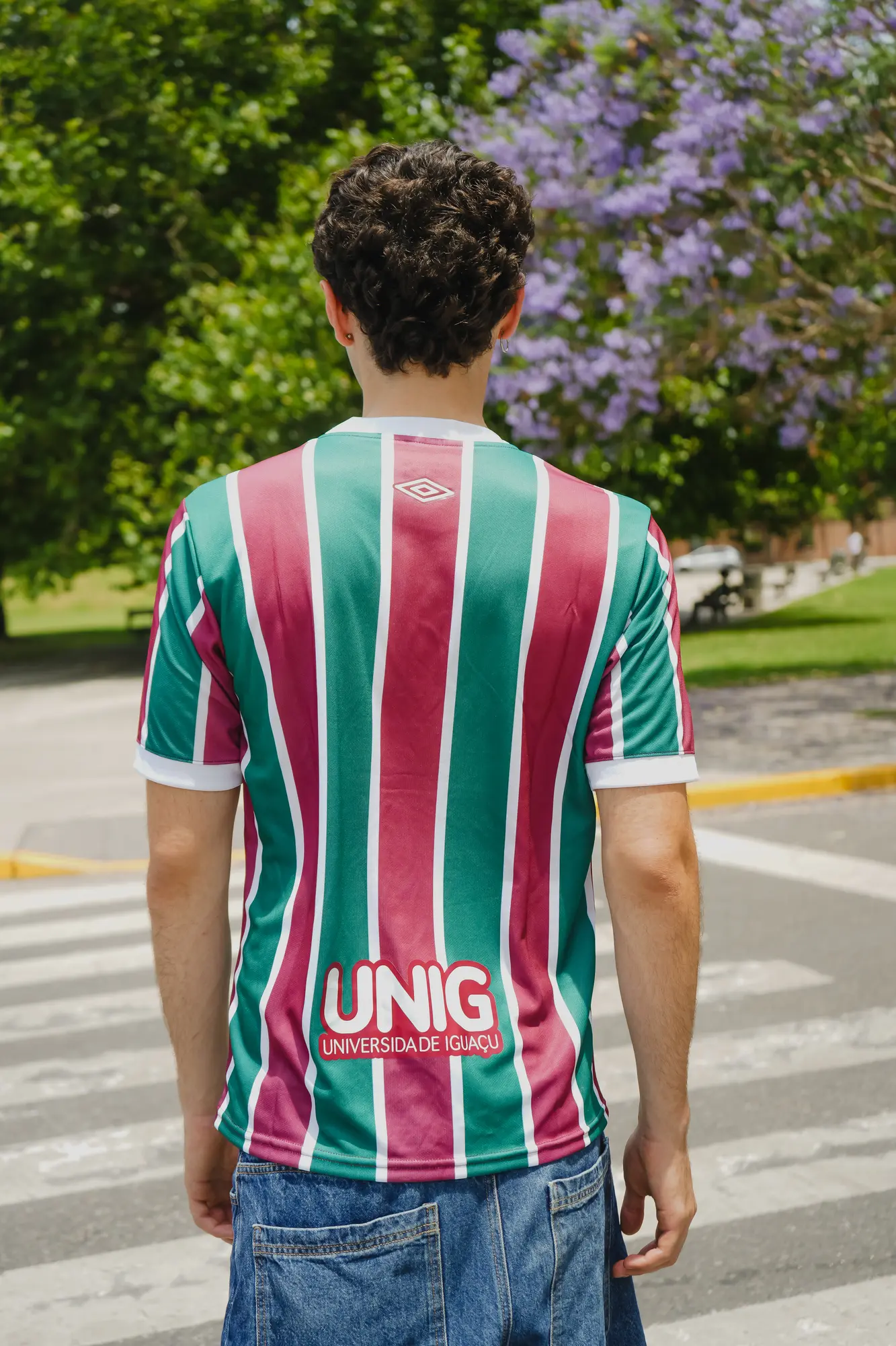 FLUMINENSE TITULAR (ACTUAL)